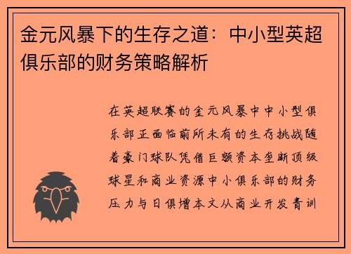 金元风暴下的生存之道：中小型英超俱乐部的财务策略解析